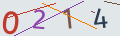 verifycode